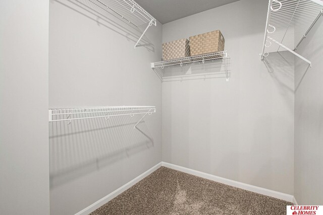 spacious closet featuring carpet flooring