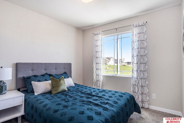 carpeted bedroom featuring multiple windows