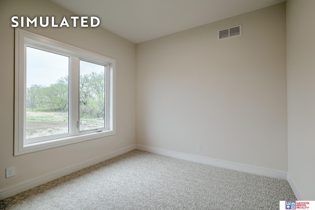 unfurnished room with carpet floors