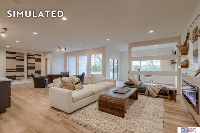 living room featuring a healthy amount of sunlight and light hardwood / wood-style floors