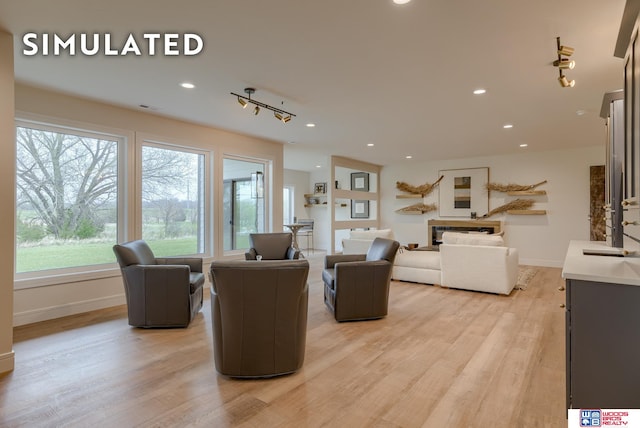 living room featuring light wood-type flooring