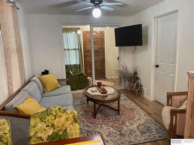 living room with light hardwood / wood-style floors and ceiling fan