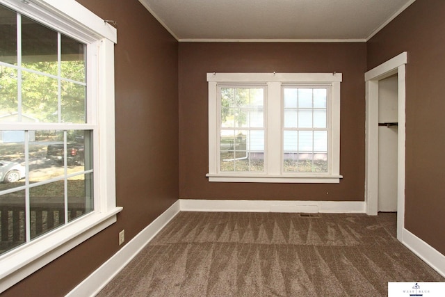 empty room with crown molding and dark colored carpet