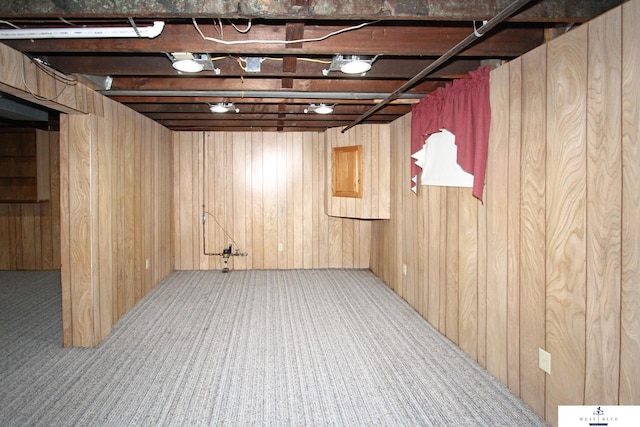 basement featuring wood walls