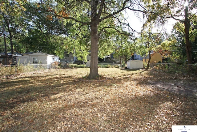 view of yard with a storage unit