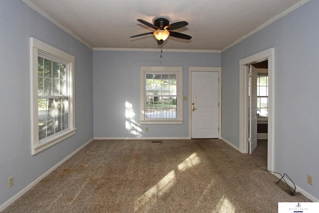 carpeted foyer entrance featuring crown molding, ceiling fan, and a wealth of natural light