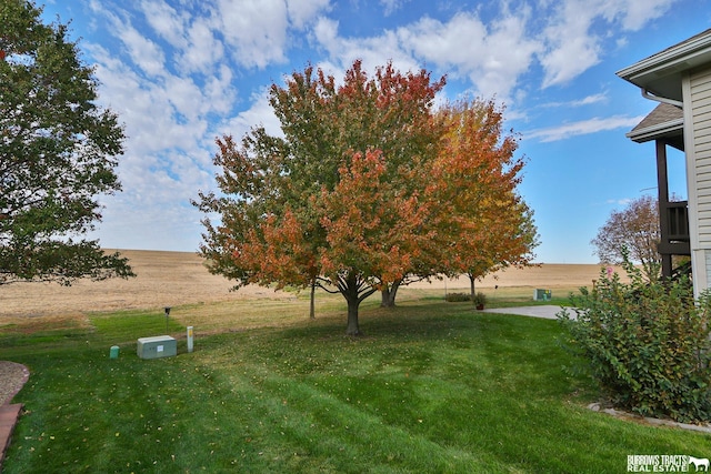 view of yard with a rural view