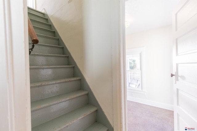 stairs featuring carpet flooring