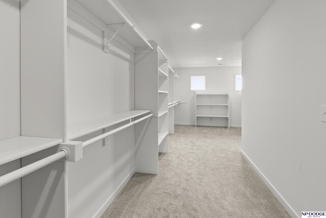 walk in closet featuring light carpet
