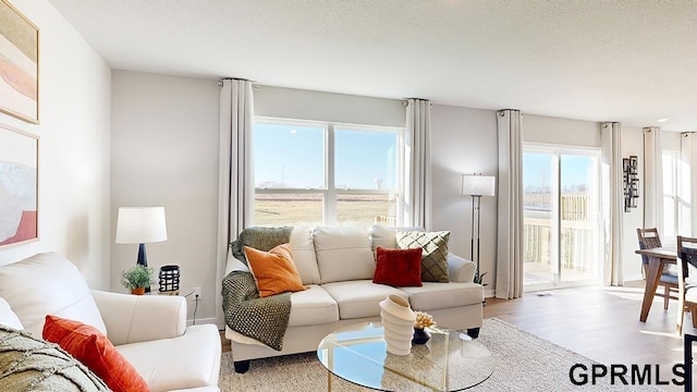 living room featuring a textured ceiling, light hardwood / wood-style floors, and plenty of natural light