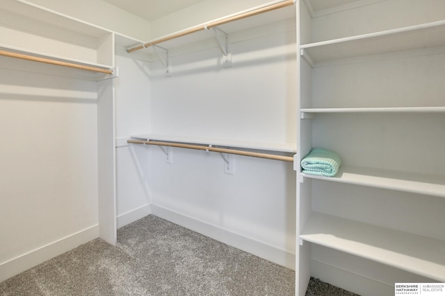 spacious closet featuring carpet floors