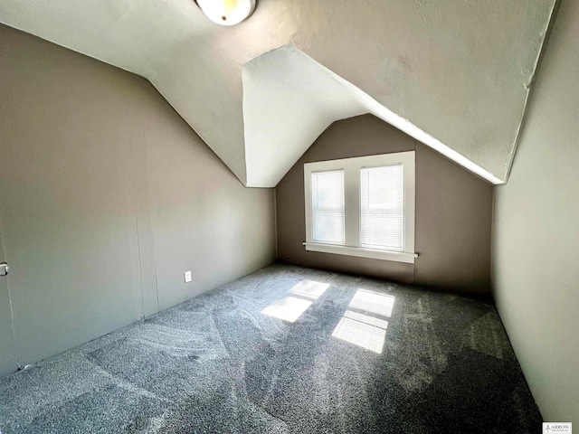 additional living space with carpet and vaulted ceiling