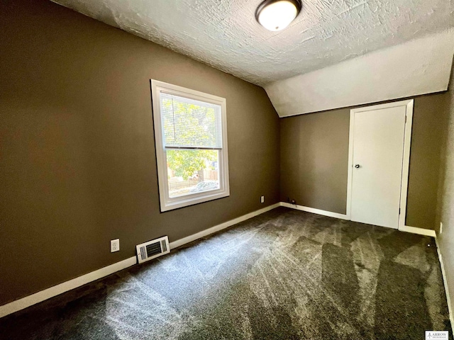 additional living space featuring a textured ceiling, carpet, and vaulted ceiling