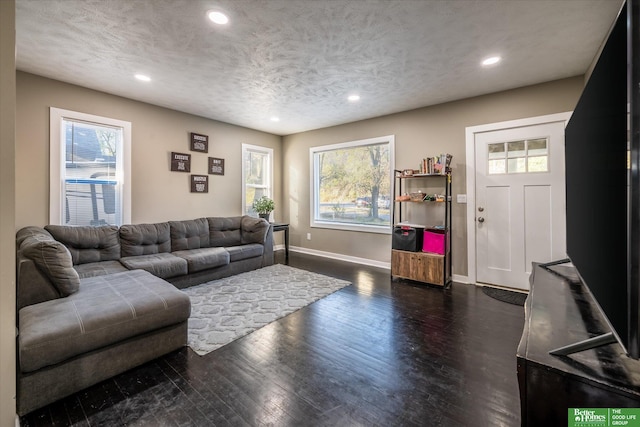 living room with a textured ceiling and dark hardwood / wood-style floors