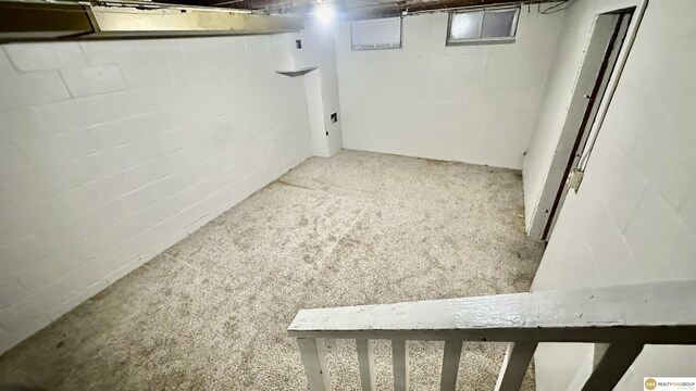 basement featuring carpet