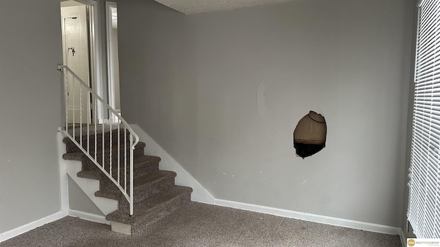 stairway featuring carpet flooring