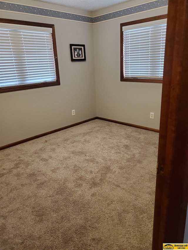 spare room featuring carpet flooring