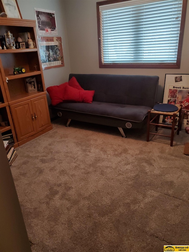 living room with carpet flooring