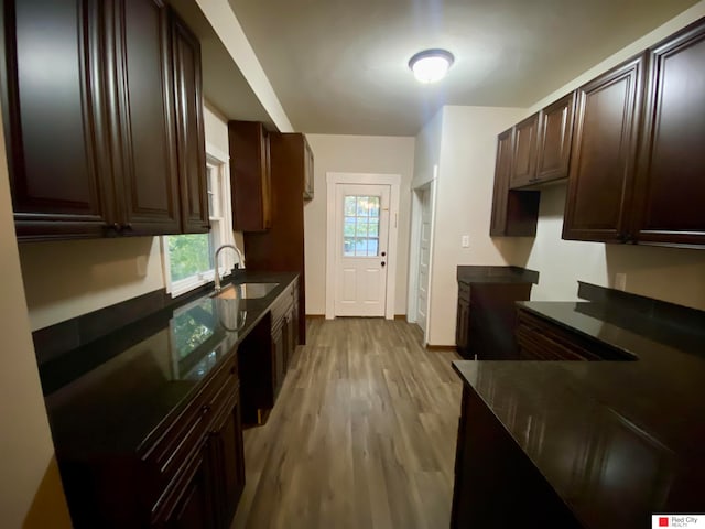 kitchen featuring dark brown cabinets, light wood-type flooring, and sink