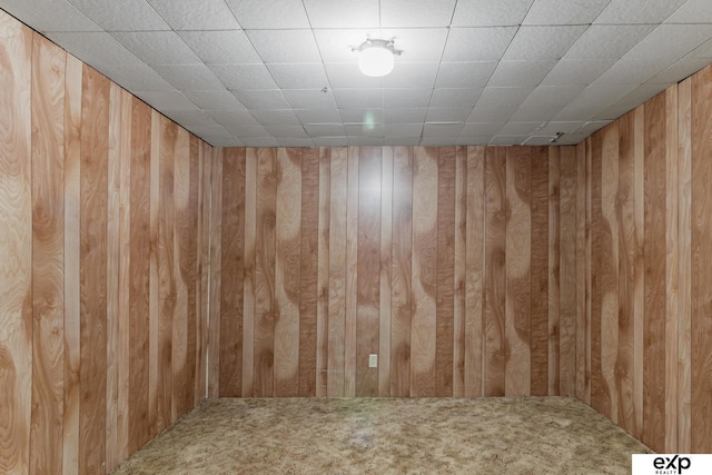 carpeted empty room featuring wood walls