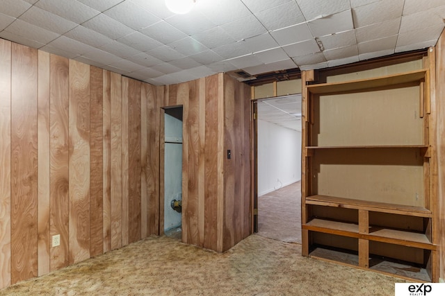 interior space with wooden walls