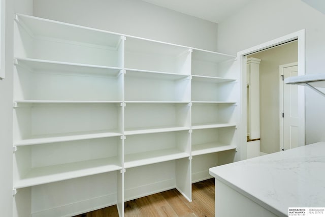 spacious closet with hardwood / wood-style flooring