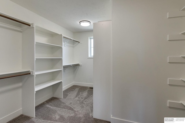 spacious closet with carpet flooring