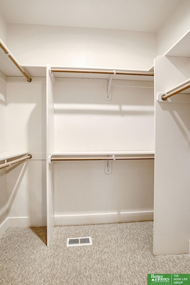 spacious closet featuring light carpet