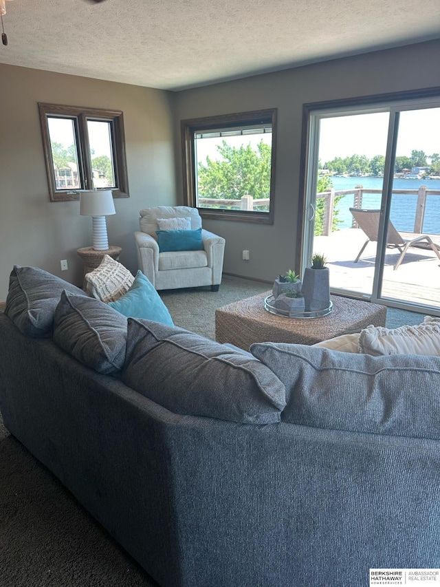 living room with plenty of natural light, a textured ceiling, a water view, and carpet