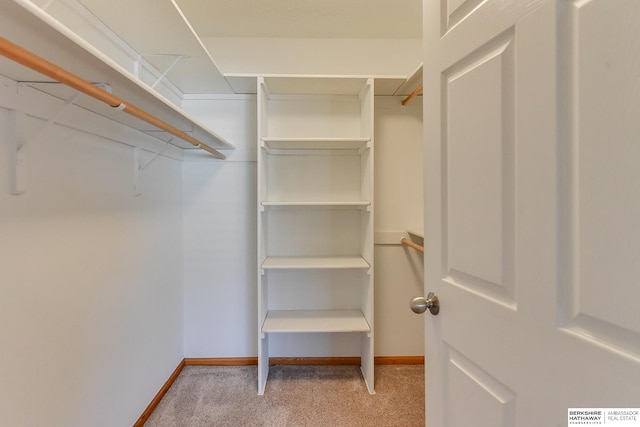 spacious closet with light carpet