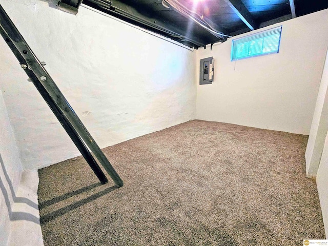 basement featuring carpet