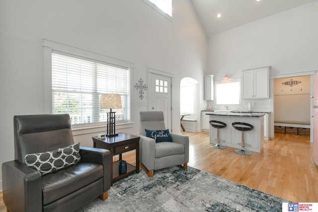 living area with high vaulted ceiling and light wood-type flooring