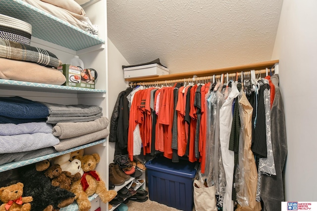 walk in closet with carpet floors