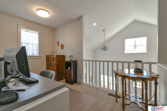 office space with light carpet, a healthy amount of sunlight, a textured ceiling, and vaulted ceiling