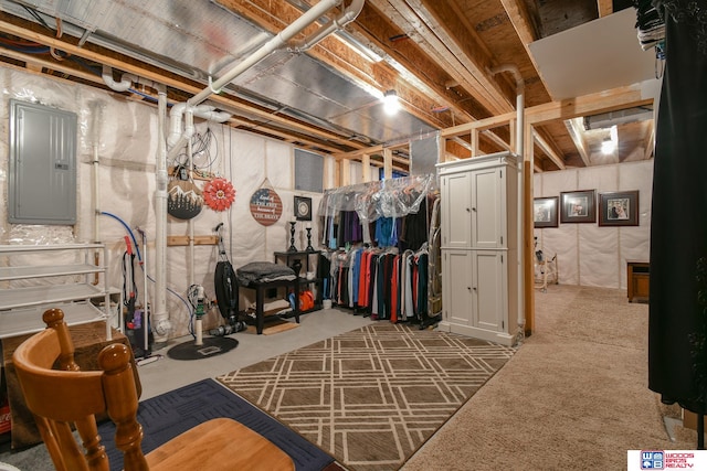 basement with electric panel