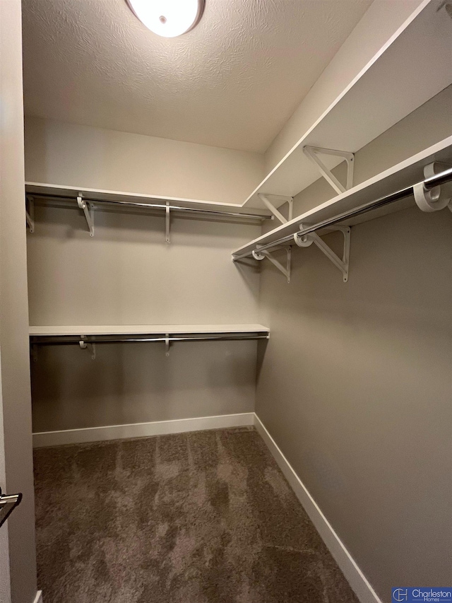13075 S 44th Ave, Bellevue, NE 68123 - spacious closet with carpet flooring