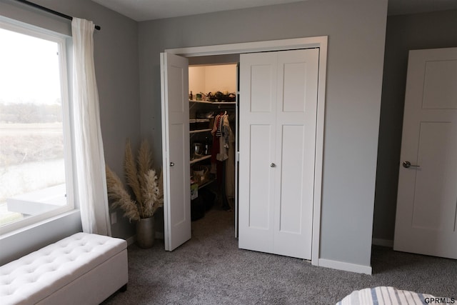 bedroom featuring a spacious closet, carpet, and a closet