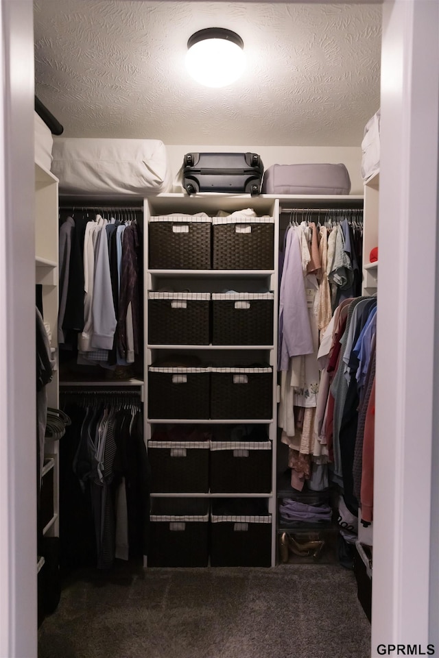 walk in closet featuring dark carpet