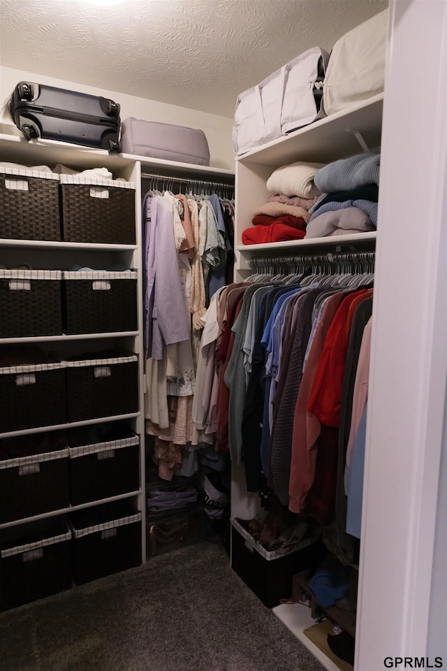 spacious closet with carpet floors