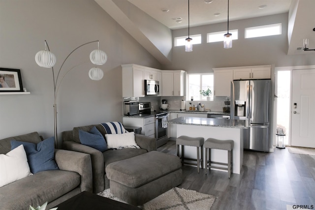 living room featuring a towering ceiling, sink, plenty of natural light, and dark hardwood / wood-style flooring