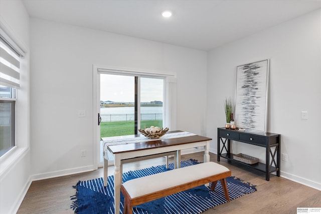 dining area featuring hardwood / wood-style floors, a healthy amount of sunlight, and a water view