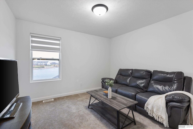 carpeted living room with a textured ceiling