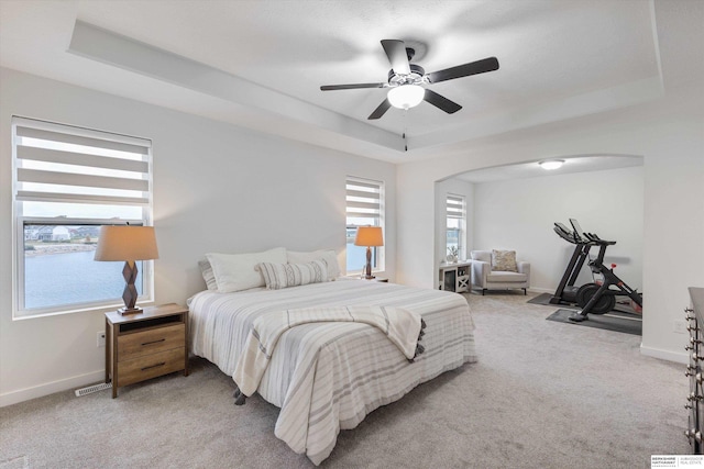 bedroom featuring carpet, a raised ceiling, multiple windows, and ceiling fan