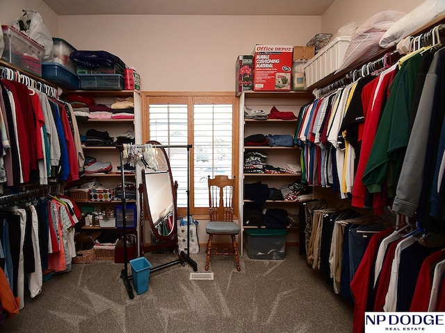 spacious closet featuring carpet