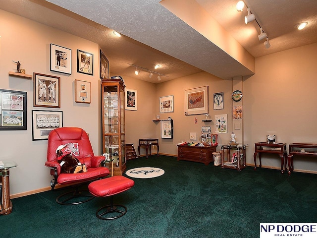 living area with carpet flooring, track lighting, and a textured ceiling