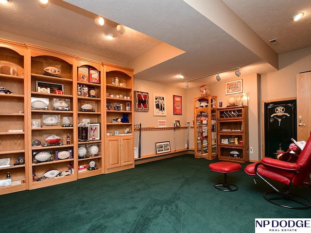 living area featuring a textured ceiling, carpet flooring, and track lighting