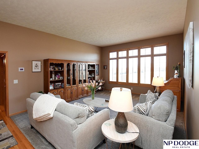 living room featuring wood-type flooring and a textured ceiling