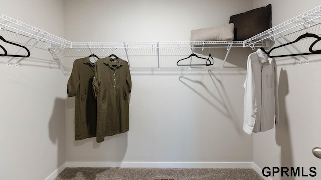 13521 Whitmore St, Omaha, NE 68142 - spacious closet with carpet flooring