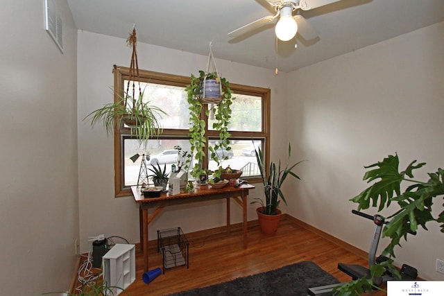 interior space with hardwood / wood-style floors and ceiling fan