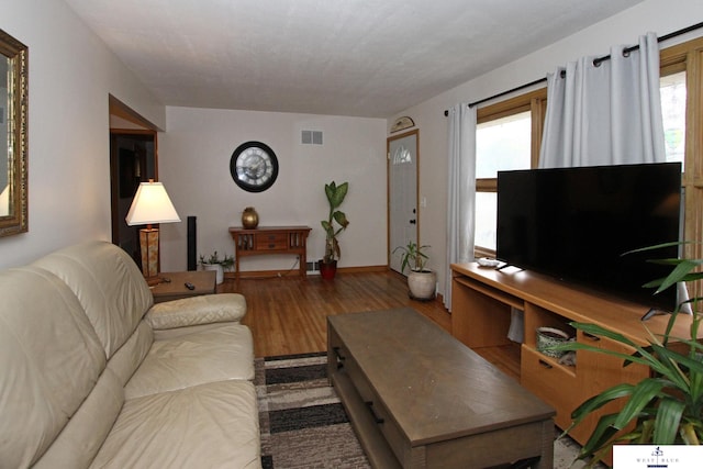 living room featuring hardwood / wood-style flooring and plenty of natural light